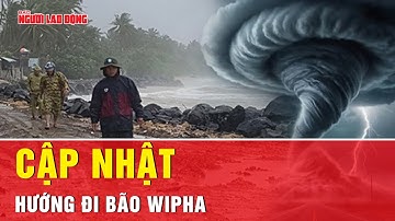 Cập nhật tin bão: Đường đi của bão Wipha hướng về đâu? | Tin tức