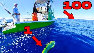 Best Way to Catch a Boat Load of Mahi!