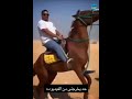 لما تفكر حالك فارس بس الحصان عنده رأي تاني Laughloot اكسبلور خيل اصيل 