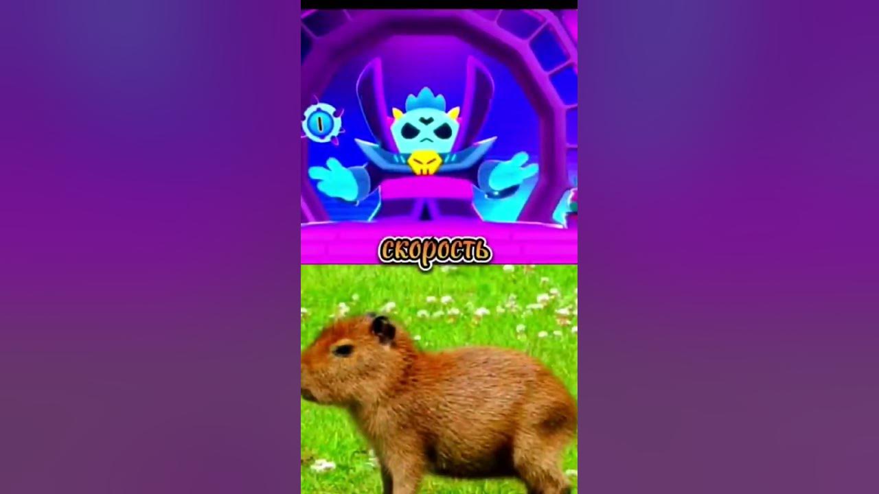 Темный Лорд Спайк VS Капибара - YouTube