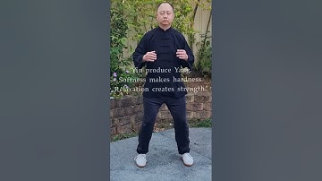 Zhan Zhuang Standing Meditation; Basic Guidance