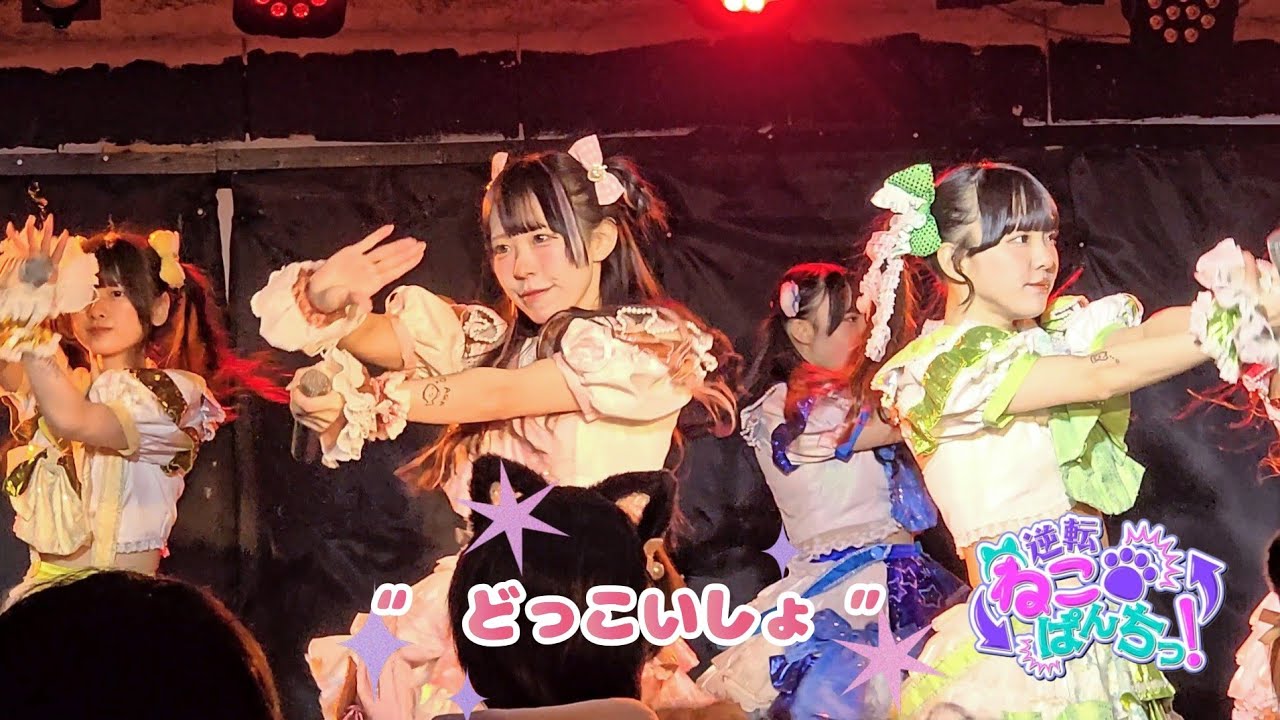 『DOKKOISHO!』逆転ねこぱんちっ！× AQA -お魚さんの飼い主になってニャン- 🗓️2026.01.12