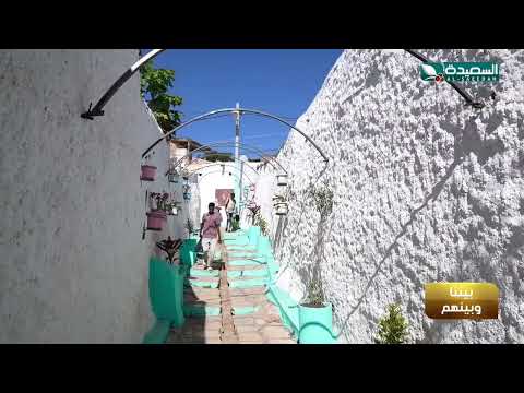 ازقة و حواري الهرر كأنها لوحة فنية ممتلئة بالورود و الألوان الجميلة