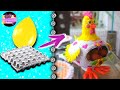 Gallina guarda o porta huevos con un globo y masa con cartón de huevo | Epdlm