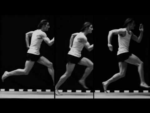 Regardez dave & hal - they can´t call me a liar sur YouTube