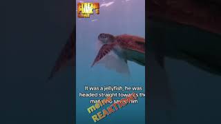 Die Unerträgliche Doppelmoral Im Tierreich -