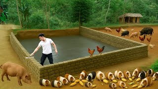 Download Lagu CEO leaves the city for the forest: Builds fish ponds with natural stones, raises livestock MP3 Download Lagu CEO leaves the city for the forest: Builds fish ponds with natural stones, raises livestock MP3