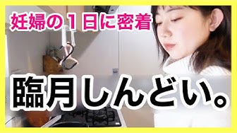 妊婦生活 Youtube