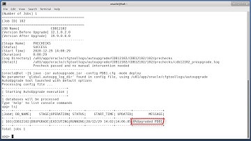 How to Upgrade a Single PDB