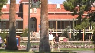 University of Arizona Micro Ornithopter
