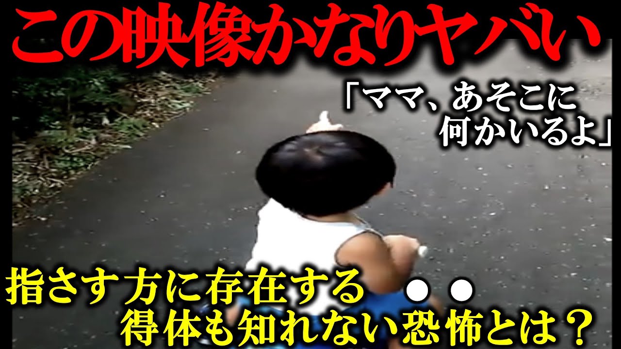 【ゆっくり解説】「日本中が震撼した…」カメラが捉えた閲覧注意の心霊映像