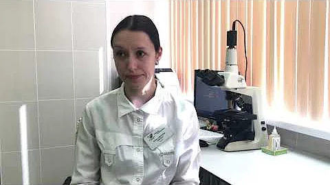 Оценка качества эмбрионов