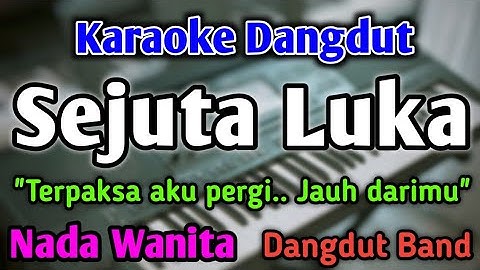 SEJUTA LUKA - KARAOKE || NADA WANITA CEWEK || Dangdut Band || Rita Sugiarto