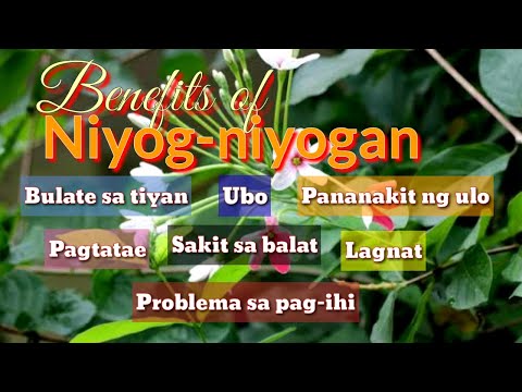 Video: Anong mga lihim ang itinatago ng Malbork Castle, at kung bakit ito itinuturing na isa sa isang uri