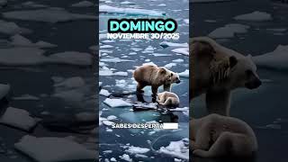 Morning Prayer for Sunday, November 30th #morningprayer