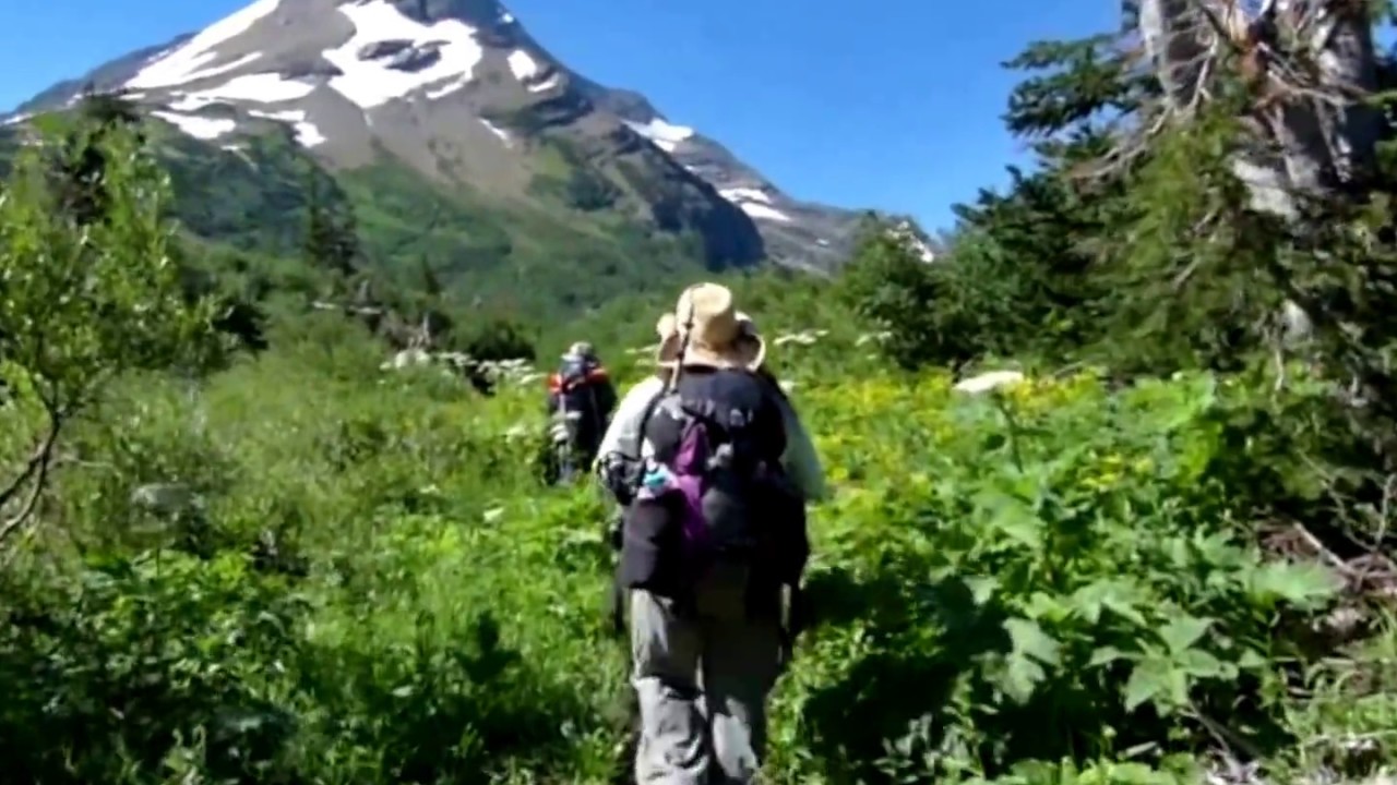 Gunsight Pass Hike, Glacier National Park Part 1 of 3 YouTube