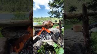 "Whole Chicken Roasted Over Open Fire in the Forest 🔥 | Juicy Wilderness ASMR Cooking by the Lake"
