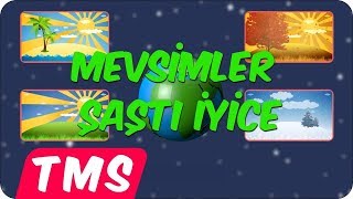 Mevsimler ve İklim Şarkısı🎶 Resimi