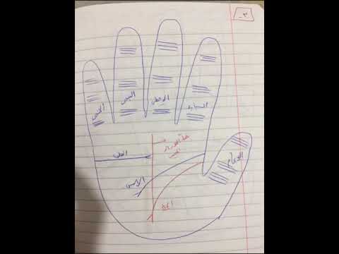 ماذا يعني إذا إتصل خط القدر بخط الحياة Shortsvideo دراسة الكف ماذا يعني إذا إتصل خط القدر بخط الحياة Shortsvideo دراسة الكف