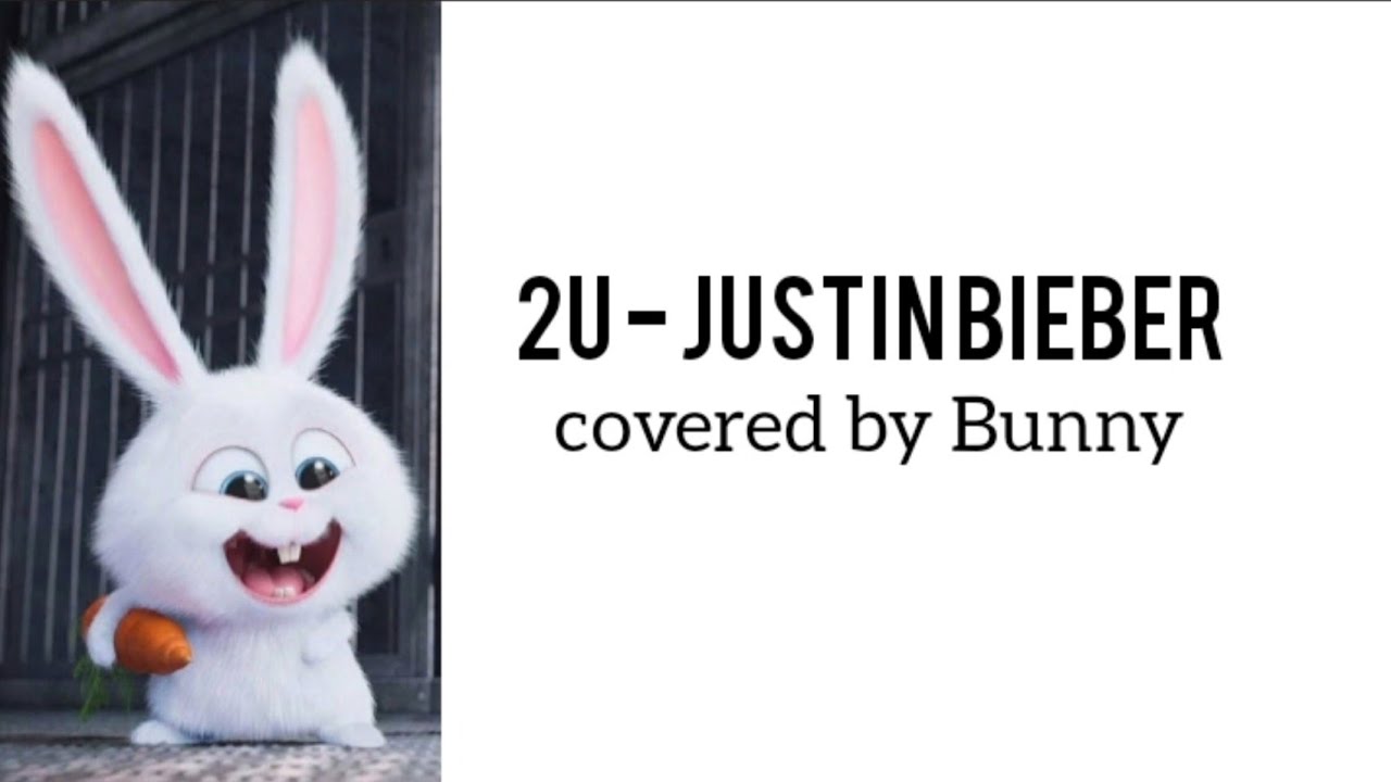 Justin Rabbit 2U - Justin Bieber || cover by Rabbit RF #bunny - YouTube