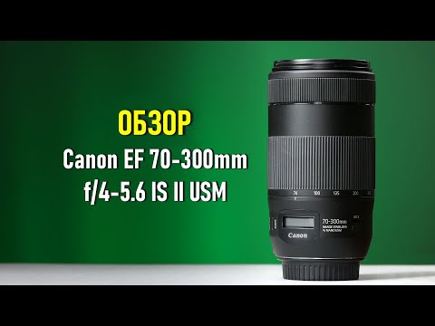 Canon EF 70-300mm f4-5.6 IS II USM Review on Canon R5