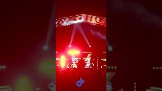 Flowidus at Freqs Out South