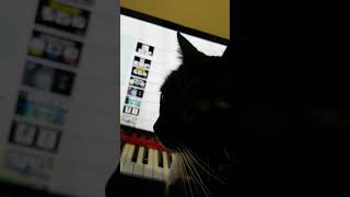 Luna the Cat reacts to Tierzoo Cat Vs Dog - Best Support Class