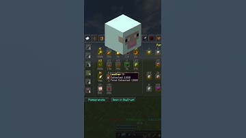 Endgame Player Reviews Your Profiles! [8] Hypixel Skyblock #minecraft #gaming #skyblock #yadi