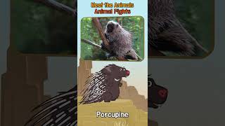 Animals Fights I Kangaroo, Porcupine, Moose & Ostrich 🦘🦔🦌🐦 | #shorts |#funforkids | Little Fox|