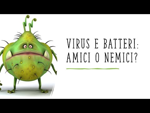 #divulgazionescientifica #virusbatteri #infezioni Virus e Batteri: amici o nemici? Biotech Week 2020