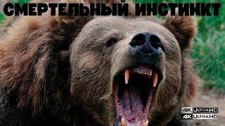 🔞СМЕРТЕЛЬНАЯ ЛОВУШКА ИНСТИНКТА: Почему Животные Идут на Верную Гибель? | National Geographic Wild HD