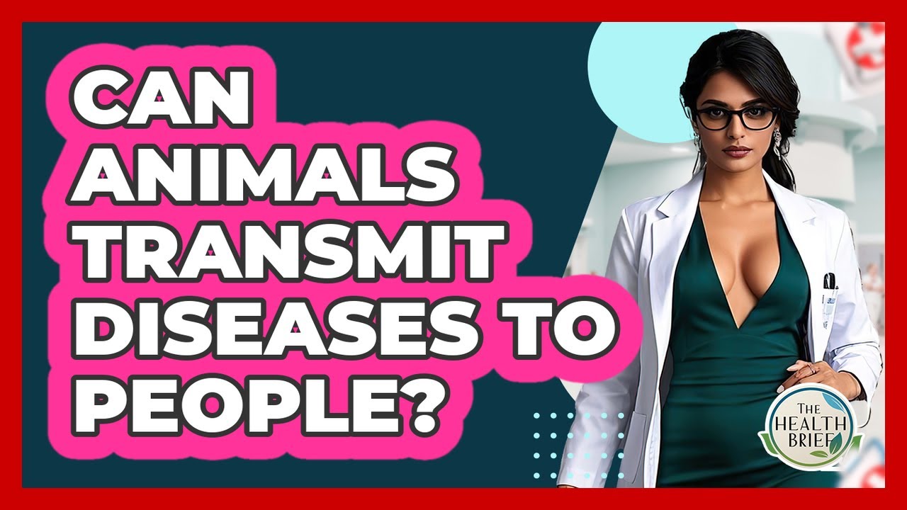 Can Animals Transmit Diseases To People? - The Health Brief