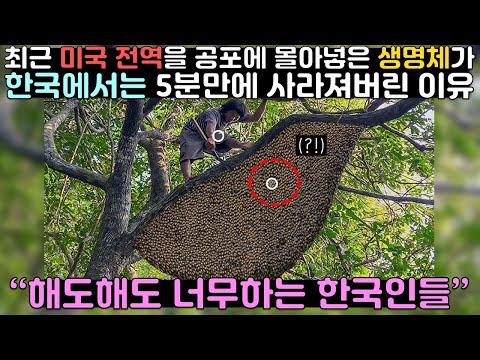 현재 미국인들이 보고 기겁한 장면ㄷㄷ 