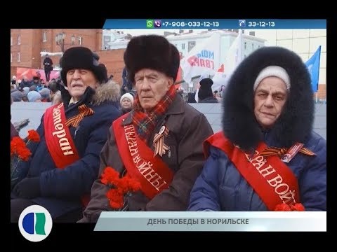 Видео: Эти черные кошки GIF дадут вам 9 жизней