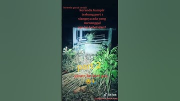 keranda gerak sendiri