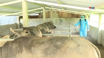 Thực hiện Tháng tổng vệ sinh, khử trùng, tiêu độc đợt 2 năm 2025