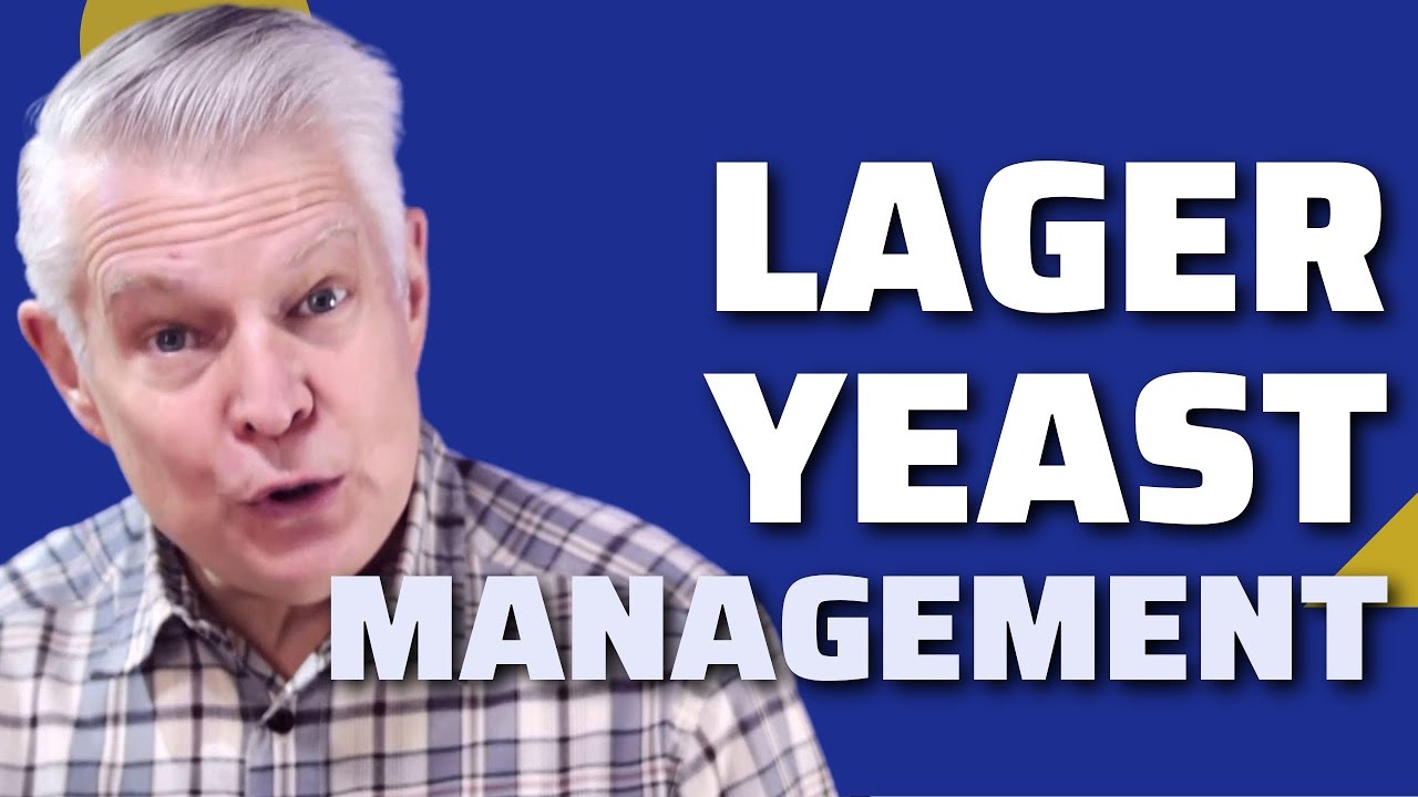 Brewing Beer Fermentation Yeasts Lager Yeast Management YouTube