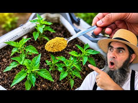 The SECRET Powder That Makes Plants Grow Faster & Repels Pests!