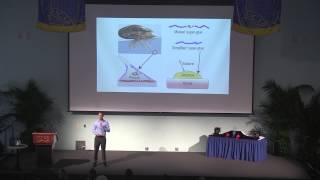 UCSB Grad Slam 2015 Finals - Matthew Gebbie