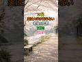 🌸70代、実は大半が知らない老後の知恵 TOP3 🌿