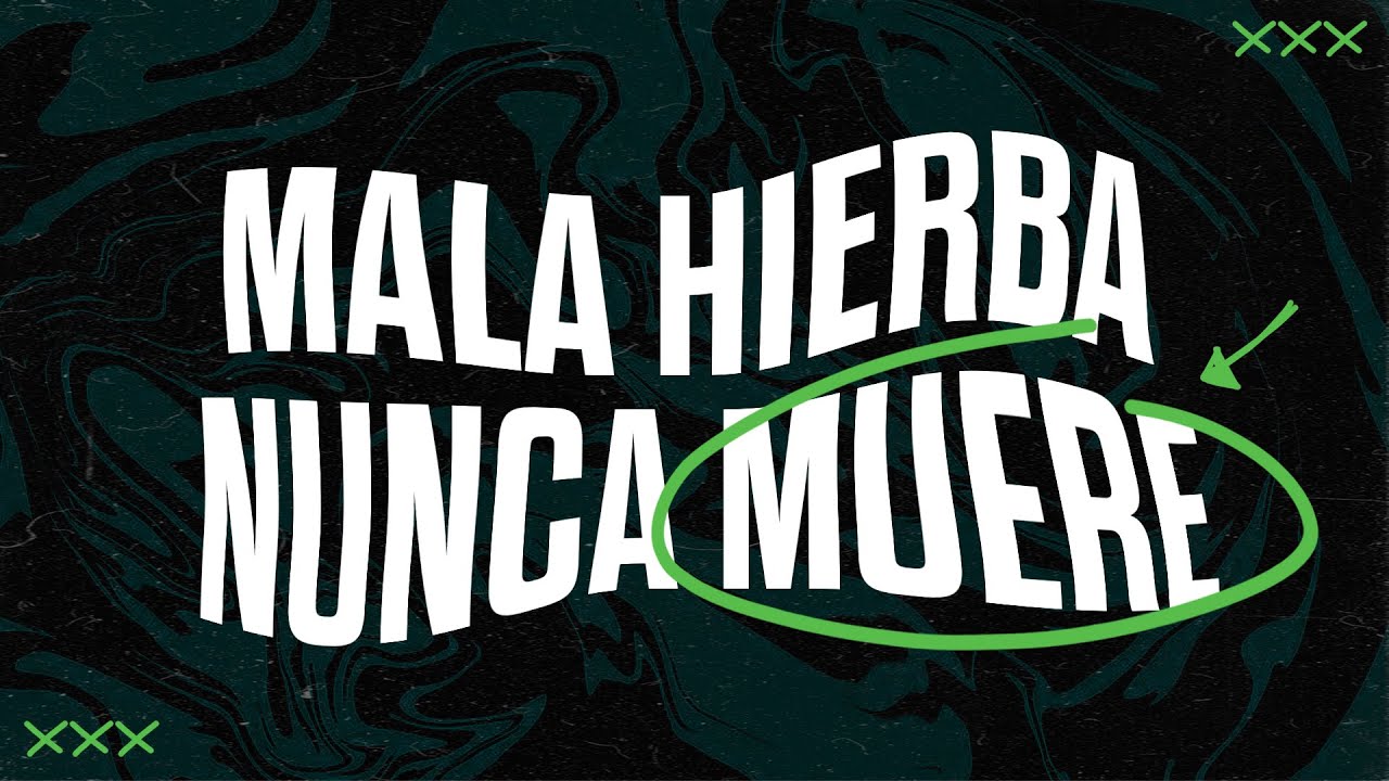 Mala Hierba Nunca Muere | Andrés Arango | La Central - YouTube