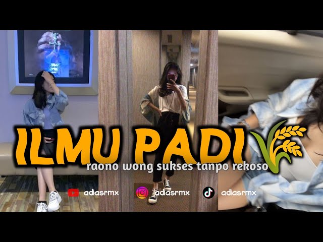 DJ ILMU PADI || RAONO WONG SUKSES TANPO REKOSO VIRAL TIKTOK ADI AS RMX class=