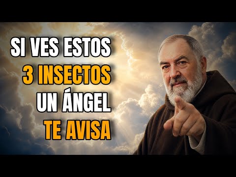 Si Ves Estos 3 Insectos En Casa, Un Ángel Podría Estar Avisándote - Padre Pio