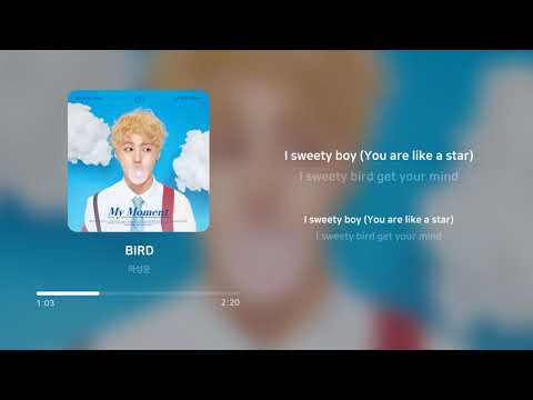 하성운 (HA SUNG WOON) - BIRD | 가사 (Lyrics)