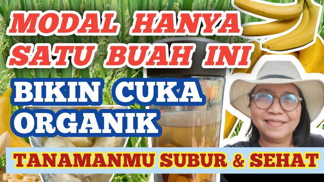 Приготовьте органический уксус в качестве замены рисовому уксусу (BRV) или уксусу из коричневого ...