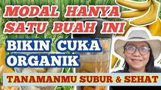 Membuat Cuka Organik pengganti BRV/Brown Rice Vinegar ala KNF. Tanaman Subur & Bermanfaat di Dapur.