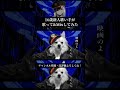 【16歳/高1】犬はジャーキーの味をリメンバー
