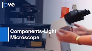 Major Components Of Light Microscope l Protocol Preview