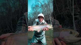 Wild Wonderful Outdoors #fishing #nature #troutfishing #flyfisherman #flyfishing #outdoors #wvdnr