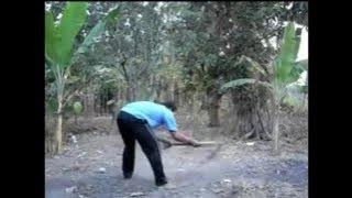 Bersin keluar kambing